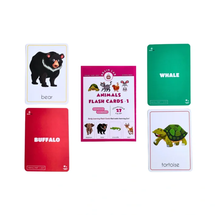 The Brain Lab Animal Flash Cards for Kids - 1 - Image 3