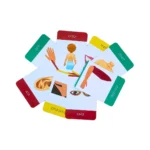 The Brain Lab Body Parts Flash Cards for Kids - Image 4