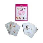 The Brain Lab Birds Flash Cards for Kids - Image 3