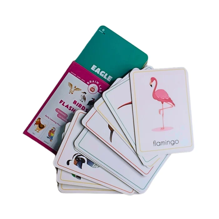 The Brain Lab Birds Flash Cards for Kids - Image 5