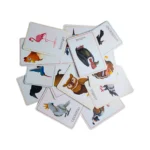 The Brain Lab Birds Flash Cards for Kids - Image 7