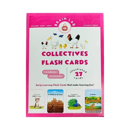The Brain Lab Collectives Flash Cards for Kids